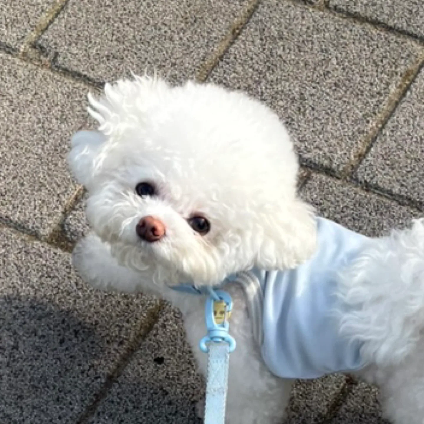 무무