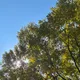 행복