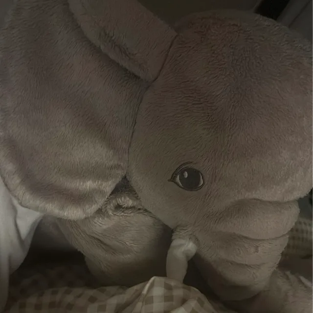 롱룽