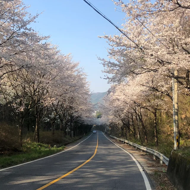 냥이엄마