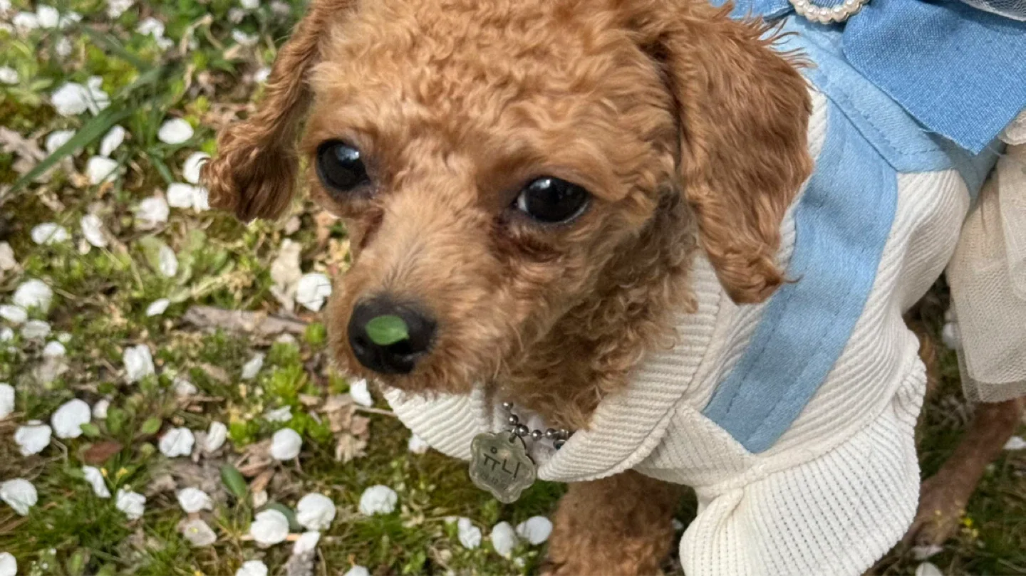 유니유니