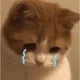 미유