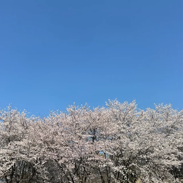 인피니티원