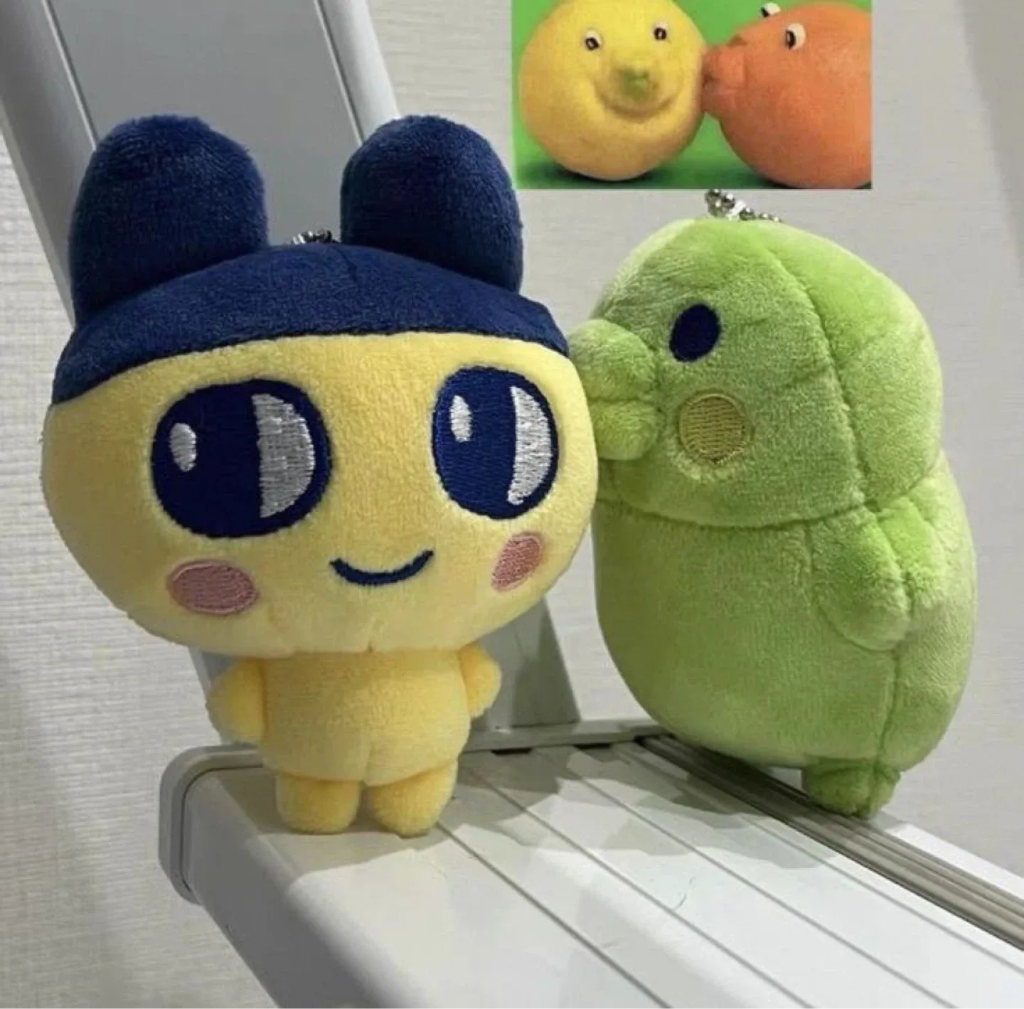 하리보