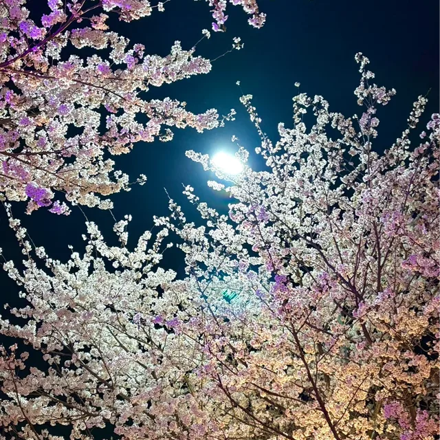 행긍당