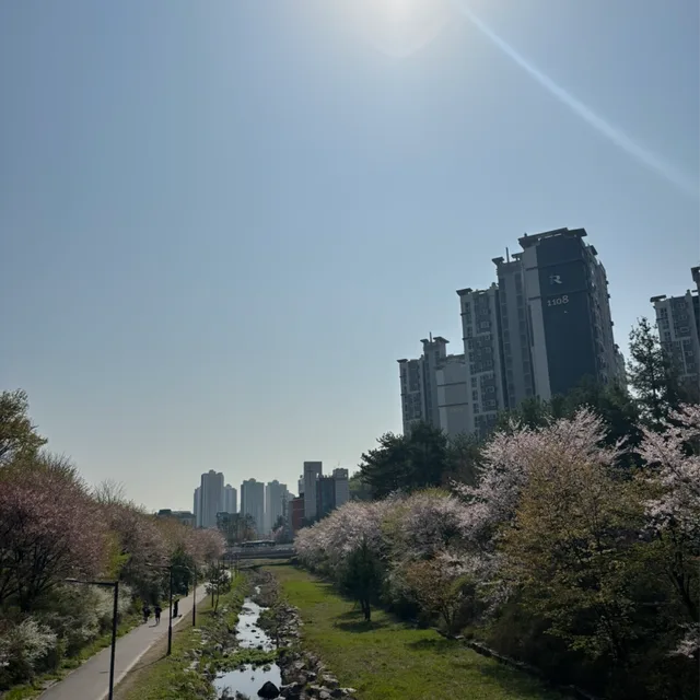 레모나