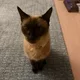 릭오01