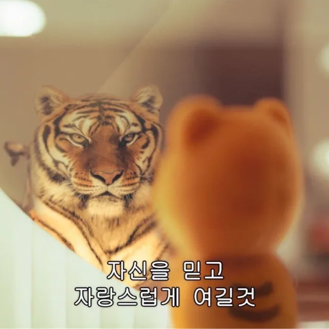 냥냥펀치