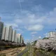 하이하리