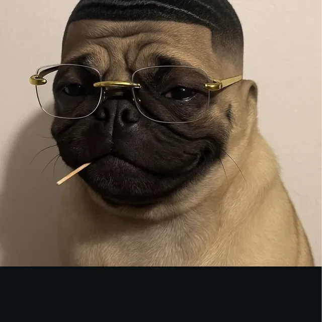 뚱이페인트