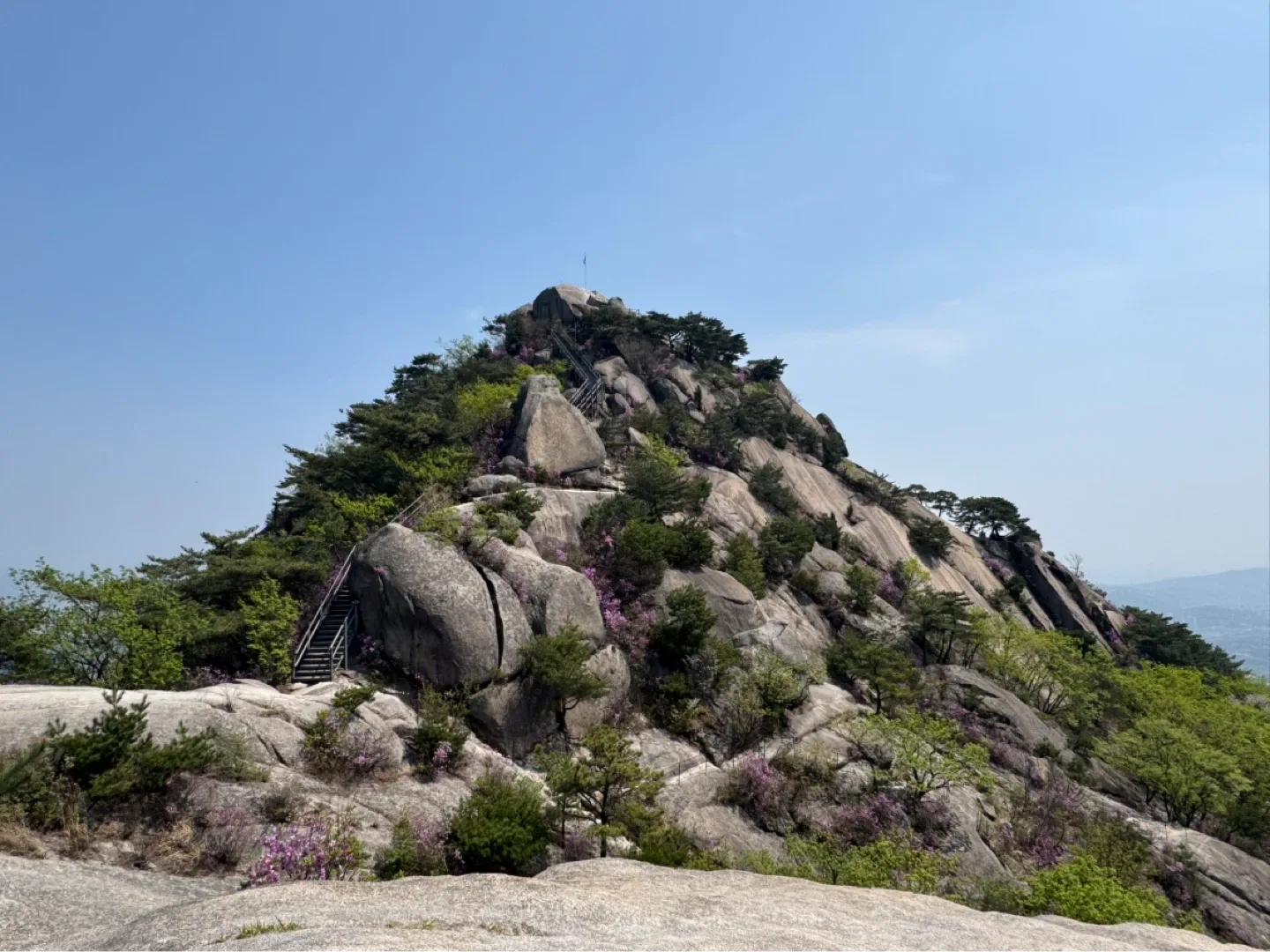 아나바다