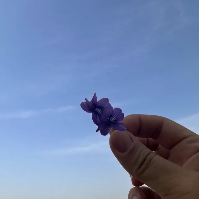 베베