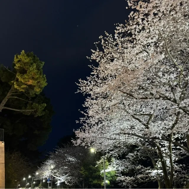 살만한세상