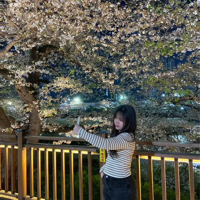 채원