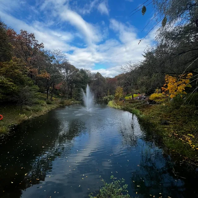 동네인구수1