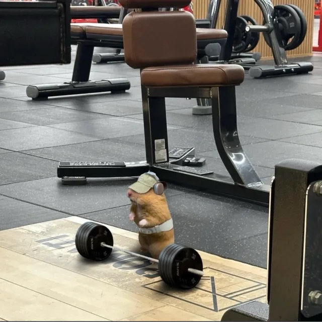 집합소