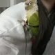 명일
