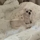 봄이