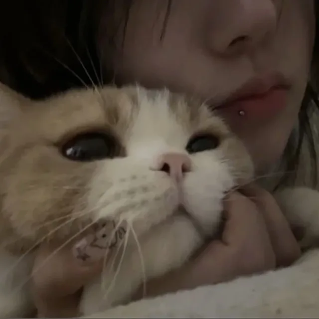 츄르를츄릅