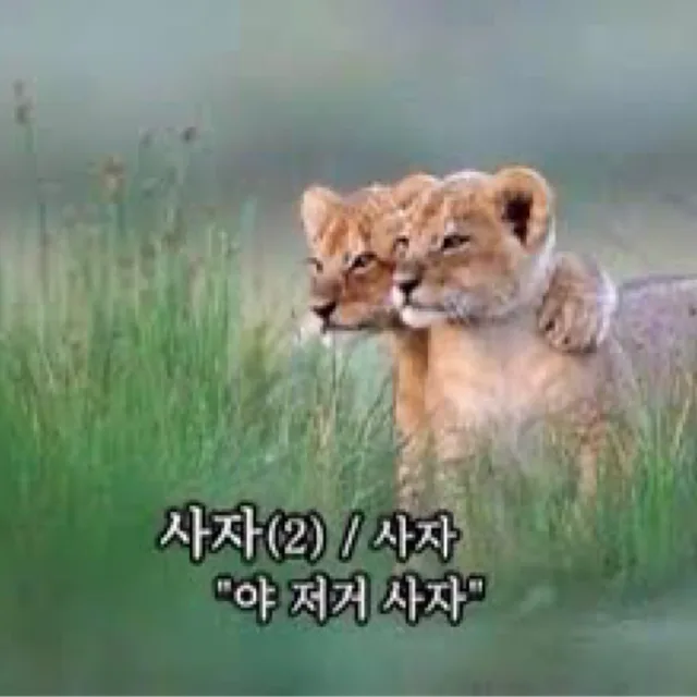 물건줄이기