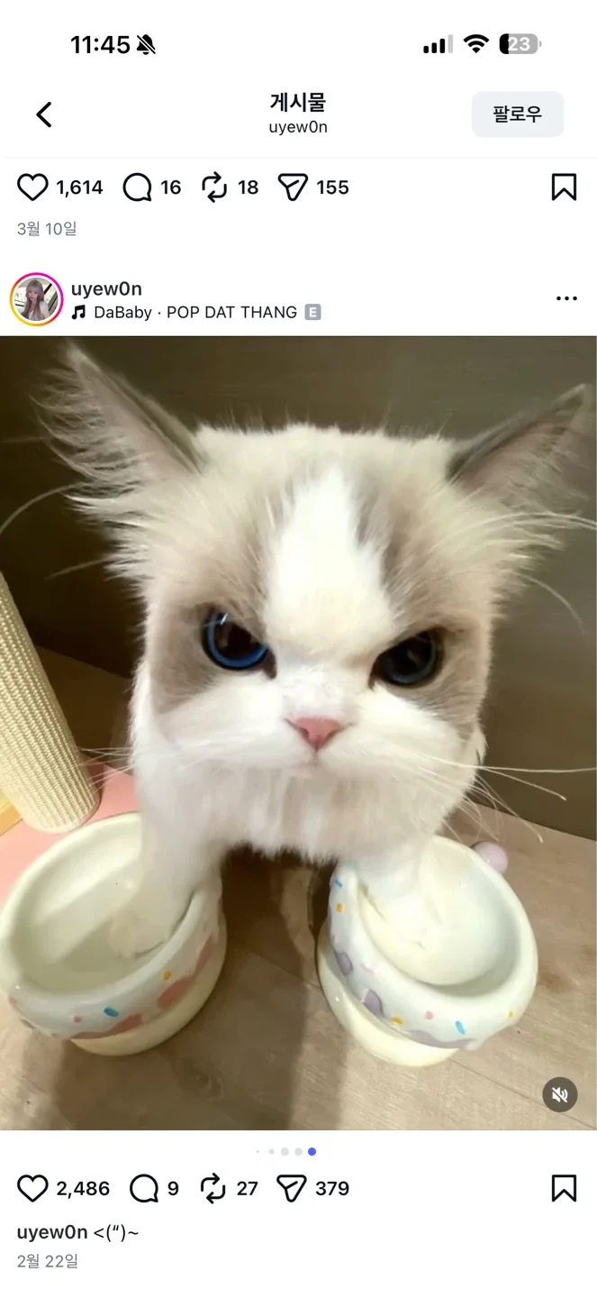 류린