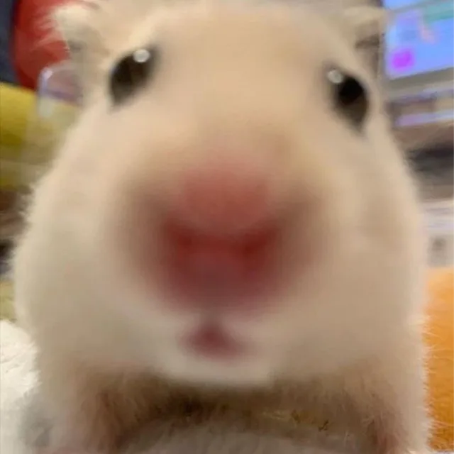 챔챔