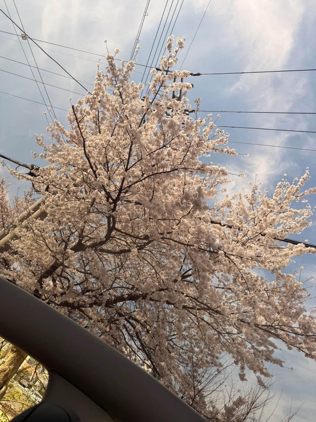 리블리