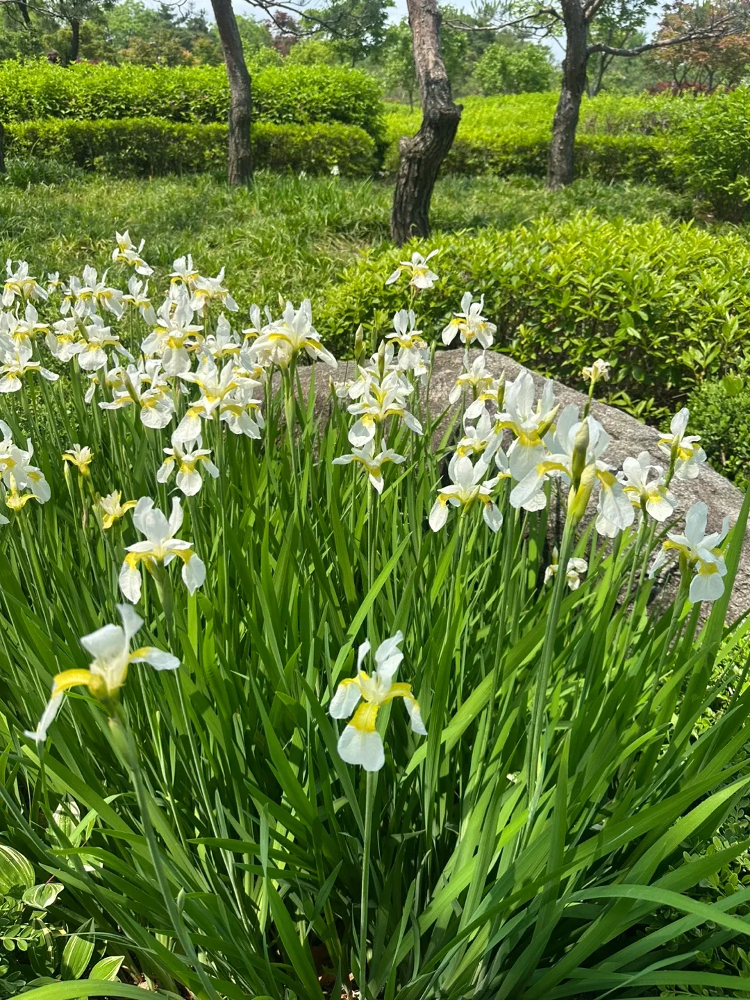 당나라공주