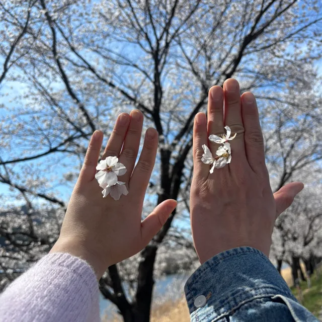 봉하