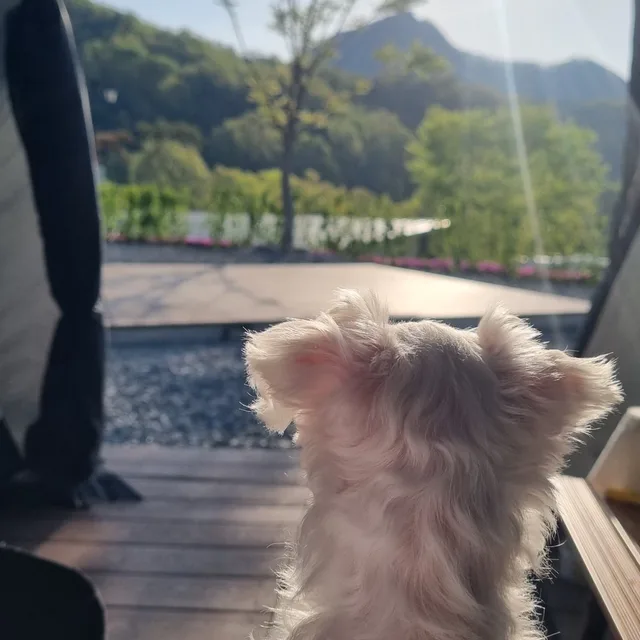 혼자서도