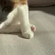 집사맘