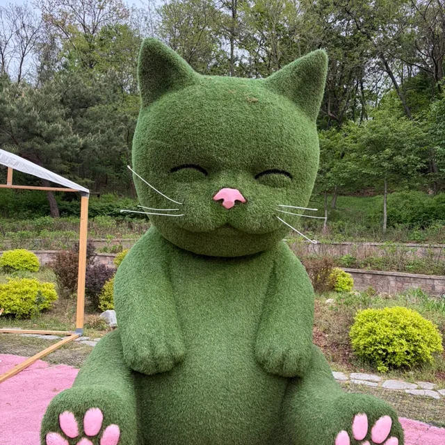 강또치