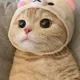 누들파워