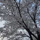 굿데이
