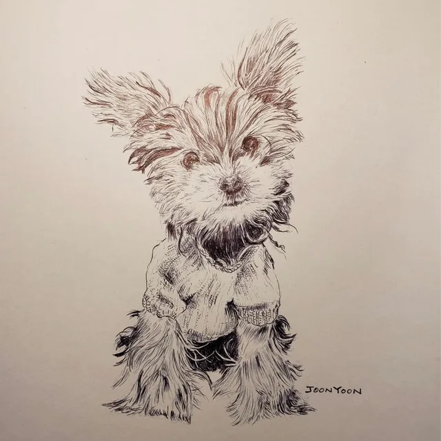 미야
