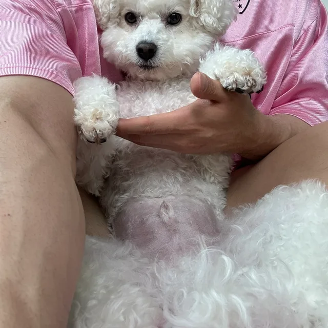 나만고