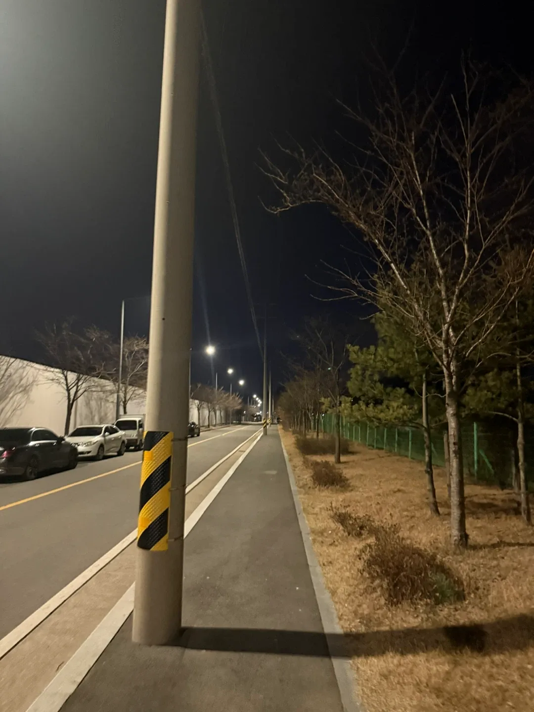 츄리츄
