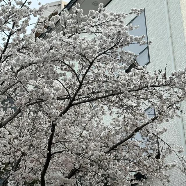 인간이싫어