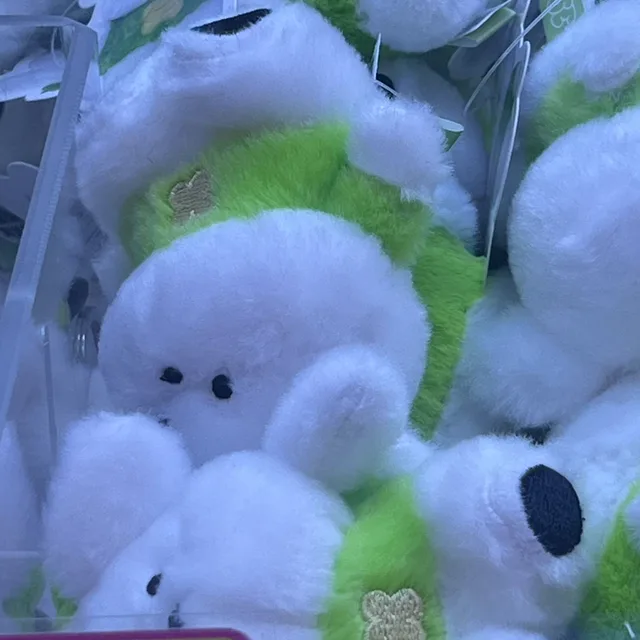구아바