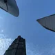 플라워