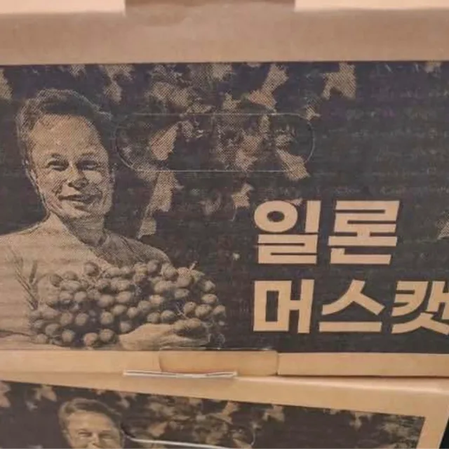 일론머스캣