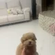 쏭쏭