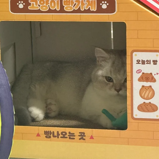 깨지는바둑