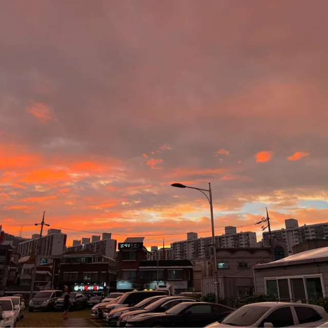 당근토끼