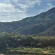 장덕