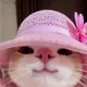 곤쥬
