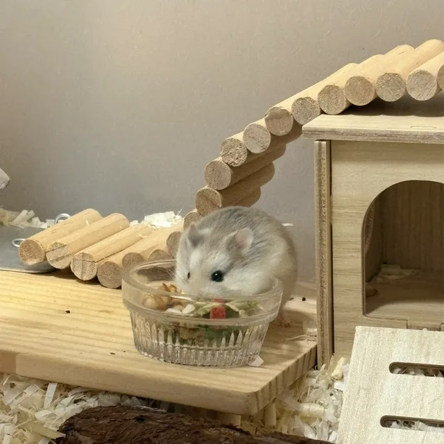 나만없오고양이