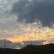 슈독스