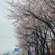 하트비트