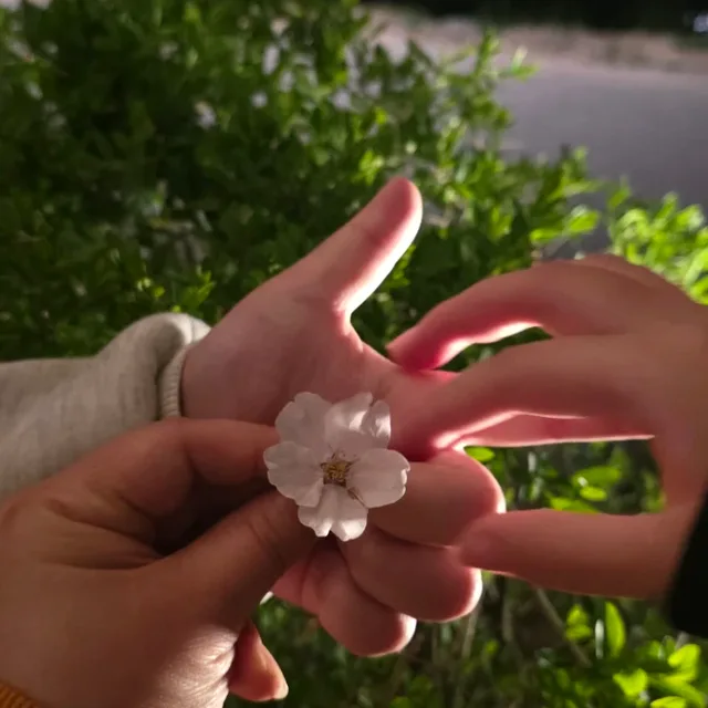 욜라
